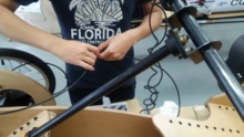 14484964_1806359386310255_1826684999818750646_n.jpg