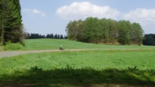 DSC_1527.JPG